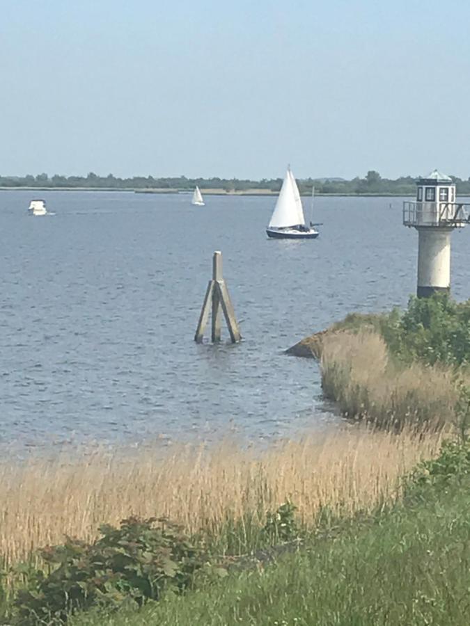 De Lauwersmeer Vogel Mit Eingezaeuntem Garten Anjum エクステリア 写真