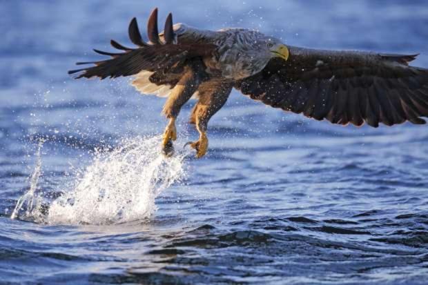 De Lauwersmeer Vogel Mit Eingezaeuntem Garten Anjum エクステリア 写真